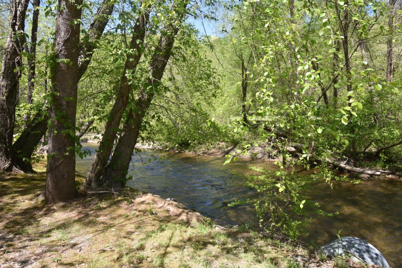 Riverside Trout Cottage Хелен Экстерьер фото